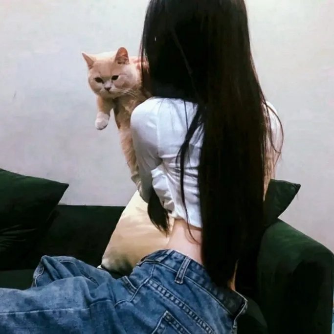 钢铁森林