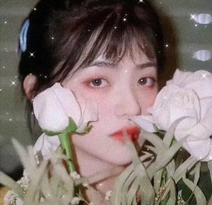 上海特快车